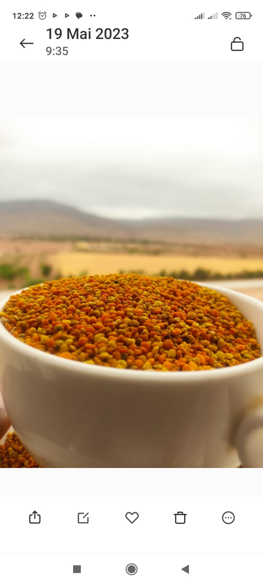 "الخلطة الملكية الأصلية (عسل حر + Gelée Royale غذاء ملكات ) - احصل على حبوب الطلع كهدية "