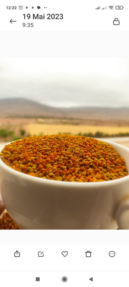 "الخلطة الملكية الأصلية (عسل حر + Gelée Royale غذاء ملكات ) - احصل على حبوب الطلع كهدية "
